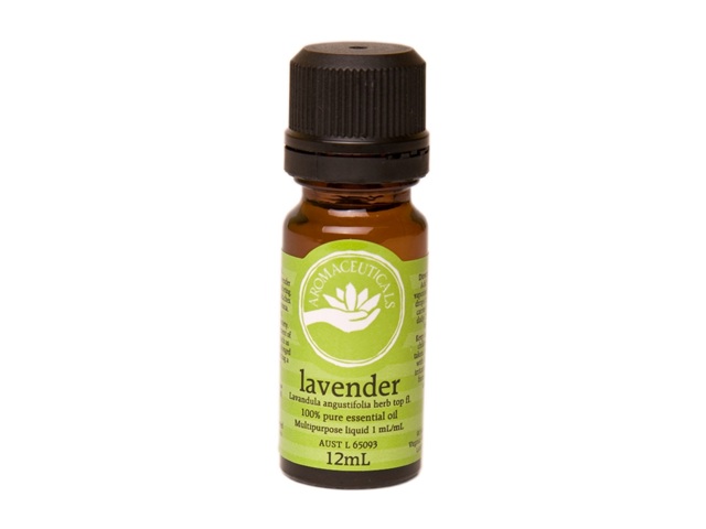Lavender Lavendula angustifolia - Organic